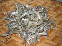 じゃこ(かえり)