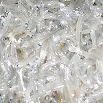 生しらす(要相談)